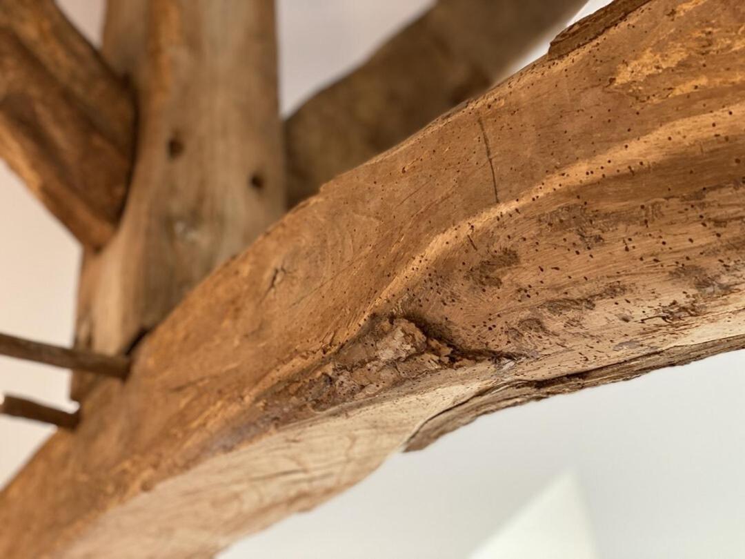 Le Domaine D'Angerville - Chambres D'Hotes Ruang foto